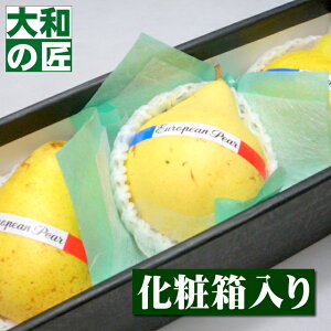 y12{ȍ~\聚zVY EN`F[I3艻ϔ] t[c ʕ N`F m m mȂ Ε Ε   j Mtg 蕨 v[g O