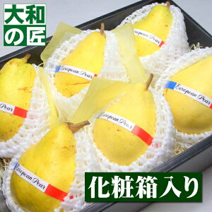 y12{ȍ~\聚zVY EN`F[I6艻ϔ] t[c ʕ N`F m m mȂ Ε Ε   j Mtg 蕨 v[g O