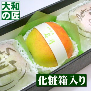 y11{ȍ~\聚z쌧Y ōS I[3艻ϔ] ʕ  t[c S  ь   j Mtg 蕨 v[g O Ε Ε