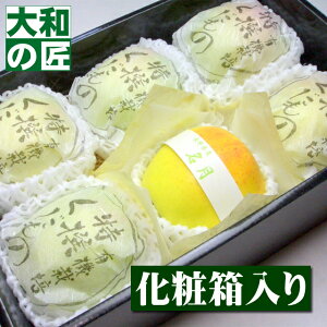 y11{ȍ~\聚z쌧Y ōS I[6艻ϔ] ʕ  t[c S  ь   j Mtg 蕨 v[g O Ε Ε