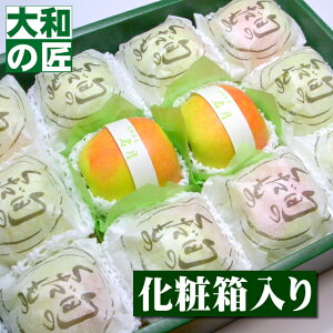 y11{ȍ~\聚z쌧Y ōS I[12艻ϔ] ʕ  t[c S  ь   j Mtg 蕨 v[g O Ε 