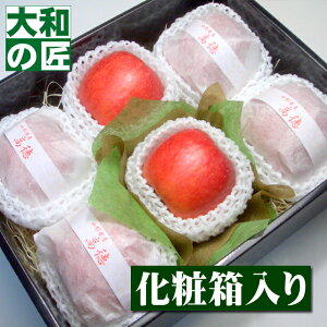 R`Y I胊S [6艻ϔ] Ε Ε   S  ь v[g Mtg O 蕨  i