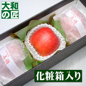 R`Y I胊S [3艻ϔ] Ε Ε   S  ь v[g Mtg O 蕨  i