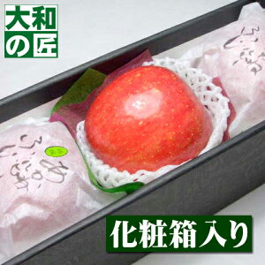 y12{ȍ~\聚z쌧Y Iӂ ˃r[[3艻ϔ] Ε Ε ӂ S  ь v[g Mtg O 蕨  i