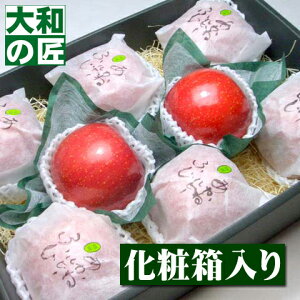 y12{ȍ~\聚z쌧Y Iӂ ˃r[[8艻ϔ] Ε Ε ӂ S  ь v[g Mtg O 蕨  i