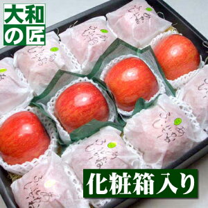 y12{ȍ~\聚z쌧Y Iӂ ˃r[[12艻ϔ] Ε Ε ӂ S  ь v[g Mtg O 蕨  i