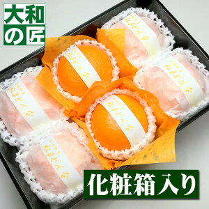 y11ȍ~\聚zQY Ig܂ǂ[6艻ϔ]y؁z g}hi g܂ǂ t[c ʕ Ε Ε Ε   j Mtg 蕨 v[g O