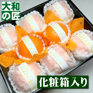 y11ȍ~\聚zQY Ig܂ǂ[8艻ϔ]y؁z g}hi g܂ǂ t[c ʕ Ε Ε Ε   j Mtg 蕨 v[g O