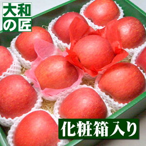 y12{ȍ~\聚z쌧Y Tӂ[12艻ϔ] Ε Ε ӂ S  ь v[g Mtg O 蕨  i