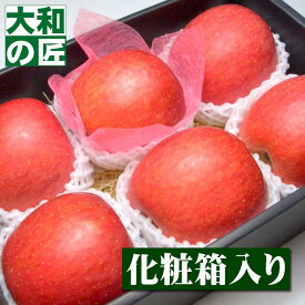 【12月上旬以降予定★】長野県産 サンふじ[6個入り化粧箱] お歳暮 御歳暮 ふじ リンゴ りんご 林檎 プレゼント ギフト グルメ 贈り物 贈答 進物