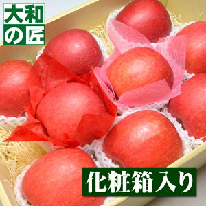 y12{ȍ~\聚z쌧Y Tӂ[9艻ϔ] Ε Ε ӂ S  ь v[g Mtg O 蕨  i