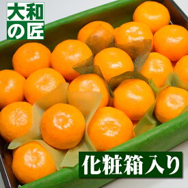 【11月下旬以降予定★】産地厳選 特選こだわりミカン[Sサイズ2段詰め36個入り化粧箱] フルーツ 果物 柑橘 お歳暮 御歳暮 みかん ミカン 田村みかん 田村ミカン