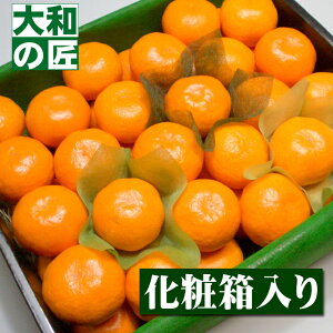 y11{ȍ~\聚zYnI I~J[STCY2il48艻ϔ] t[c ʕ k Ε Ε ݂ ~J c݂ c~J