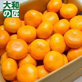 【11月下旬以降予定★】産地厳選 こだわりミカン[Lサイズ5kg箱] フルーツ 果物 柑橘 お歳暮 御歳暮 みかん ミカン 田村みかん 田村ミカン