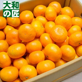 【11月下旬以降予定★】産地厳選 こだわりミカン[Sサイズ5kg箱] フルーツ 果物 柑橘 お歳暮 御歳暮 みかん ミカン 田村みかん 田村ミカン