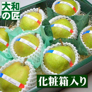 y11{ȍ~\聚zR`Y EtX[8艻ϔ] t[c ʕ tX m m mȂ Ε Ε   j Mtg 蕨 v[g O