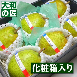 y11{ȍ~\聚zR`Y EtX[6艻ϔ] t[c ʕ tX m m mȂ Ε Ε   j Mtg 蕨 v[g O