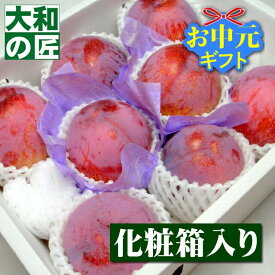 【6月下旬以降予定★】 お中元 御中元 山梨県産 スモモ 貴陽[大玉7-9個入り化粧箱] フルーツ 果物 くだもの すもも スモモ プラム ギフト 贈り物 プレゼント グルメ