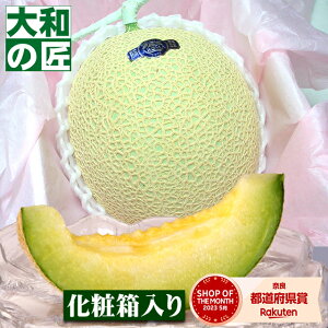 YnI }XN[1艻ϔ] t[c ʕ }XN   j Mtg 蕨 v[g O 䋟  䋟 O 䕧O @v   @