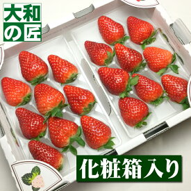 【順次発送可能★】 ホワイトデー 奈良県産 古都華いちご[DX2パック入り箱]【売れ筋】 フルーツ 果物 イチゴ いちご 苺 バレンタイン バレンタインデー