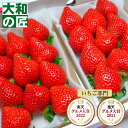 【順次発送可能★】 福岡県産 博多あまおう [DX2パック入り箱]【売れ筋】 フルーツ 果物 あまおう イチゴ いちご 苺 D…