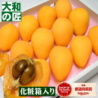 【母の日ラッピングが無料★】長崎県産 茂木びわ[Lサイズ12個入り]【売れ筋】 フルーツ 果物 母の日 母 …