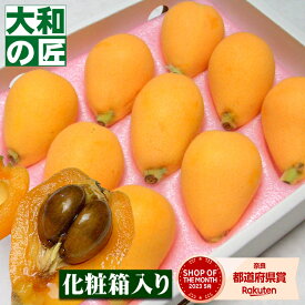 【4月下旬以降予定★】長崎県産 茂木びわ[2L9個入り又は3Lサイズ8個入り] フルーツ 果物 母の日 母 義母 びわ ビワ 琵琶 ギフト 贈り物 プレゼント グルメ