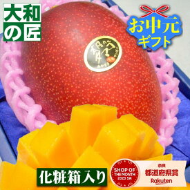 【順次発送可能★】とっておきのギフトにも最適★宮崎県産 完熟アップルマンゴー 太陽のタマゴ[大玉1個入り化粧箱] フルーツ 果物 マンゴー 完熟 高級 入学 お供え 御供 ギフト 贈り物 プレゼント グルメ お中元 御中元