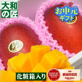 【順次発送可能★】とっておきのギフトにも最適★宮崎県産 完熟アップルマンゴー 太陽のタマゴ[大玉2個入り化粧箱]【売れ筋】 フルーツ 果物 マンゴー 完熟 高級 入学 お供え 御供 ギフト 贈り物 プレゼント グルメ お中元 御中元