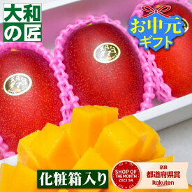 【順次発送可能★】とっておきのギフトにも最適★宮崎県産 完熟アップルマンゴー 太陽のタマゴ[中玉3個入り化粧箱] フルーツ 果物 マンゴー 完熟 高級 入学 お供え 御供 ギフト 贈り物 プレゼント グルメ お中元 御中元