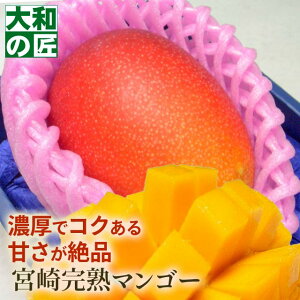 ������ �䒆�� ���̓� �{�茧�Y ���I���n�A�b�v���}���S�[[���1���艻�ϔ�] �t���[�c �ʕ� �}���S�[ ���n ���� ���w ������ �䋟 �M�t�g ���蕨 �v���[���g �O���� �� �`��