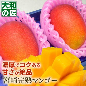 ������ �䒆�� ���̓� �{�茧�Y ���I���n�A�b�v���}���S�[[���2���艻�ϔ�] �t���[�c �ʕ� �}���S�[ ���n ���� ���w ������ �䋟 �M�t�g ���蕨 �v���[���g �O���� �� �`��