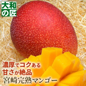 ������ �䒆�� ���̓� �{�茧�Y ���������n�A�b�v���}���S�[[���1���蔠] �t���[�c �ʕ� �}���S�[ ���n ���� ���w ������ �䋟 �M�t�g ���蕨 �v���[���g �O���� �� �`��