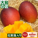【母の日ラッピングが無料★】宮崎県産 お試し完熟アップルマンゴー[中玉2個入り箱]（Mサイズ規格）【売れ筋】 フルー…