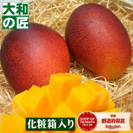 【母の日ラッピングが無料★】宮崎県産 お試し完熟アップルマンゴー[中玉2個入り箱]（Mサイズ規格）【売…