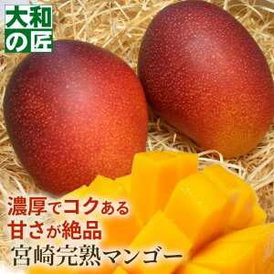������ �䒆�� ���̓� �{�茧�Y ���������n�A�b�v���}���S�[[����2���蔠]�iM�T�C�Y�K�i�j�y����؁z �t���[�c �ʕ� �}���S�[ ���n ���� ���w ������ �䋟 �M�t�g ���蕨 �v���[���g �O��