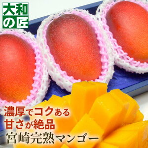������ �䒆�� ���̓� �{�茧�Y ���I���n�A�b�v���}���S�[[����3���艻�ϔ�] �t���[�c �ʕ� �}���S�[ ���n ���� ������ �䋟 �M�t�g ���蕨 �v���[���g �O���� �� �`��