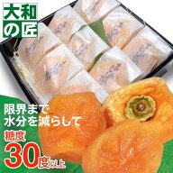 【順次発送可能★】個別包装が嬉しい！和歌山県産 あんぽ柿(干し柿)[9個入り化粧箱] 干柿 干し柿 果物 お…