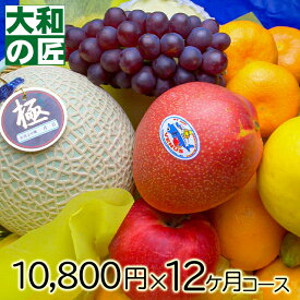 厳選果物屋 フルーツ頒布会10000円x12ヶ月コース