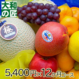 厳選果物屋 フルーツ頒布会5000円x12ヶ月コース