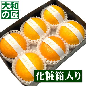 y11ȍ~\聚zQY g܂ǂ[6艻ϔ]y؁z g}hi g܂ǂ t[c ʕ N N N   j Mtg 蕨 v[g O