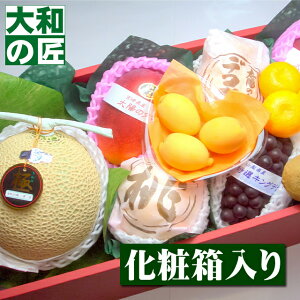 y\z 摜MT[rXD] Iʕ t[cMtg30000 O ʕ t[c lߍ킹 荇킹 j a 䌩  v[g Mtg yY 