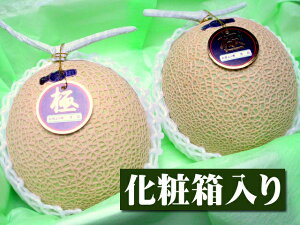 静岡県産 クラウンメロンの人気商品 通販 価格比較 価格 Com