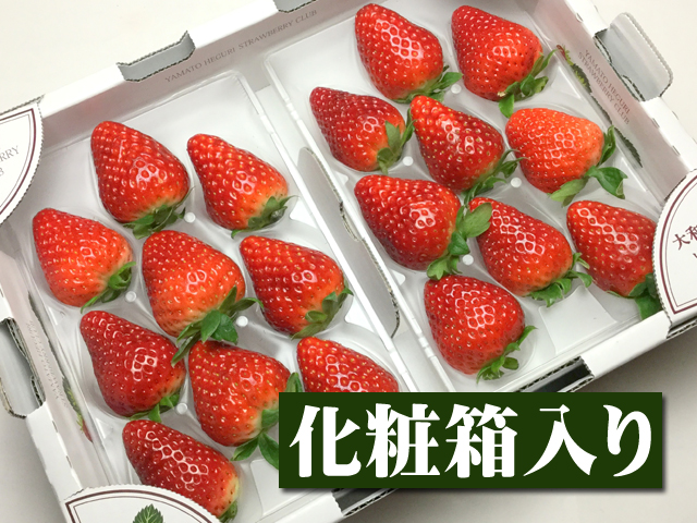 当店の地元 奈良県で作られた新品種のイチゴ 翌日発送可能 1月中旬以降予定 奈良県産 古都華いちご DX2パック入り箱 売れ筋 イチゴ 税込 いちご デラックス DX お供え 苺 御供 ホワイトデー