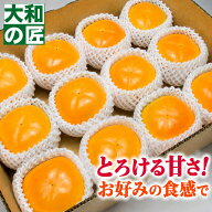 【9月下旬以降予定★】奈良県産 お試し刀根柿 (とね柿) [秀品 2Lサイズ 12個入り箱 約2.5kg]【売れ筋】 …