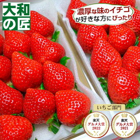 【順次発送可能★】 福岡県産 博多あまおう [DX2パック入り箱]【売れ筋】 フルーツ 果物 あまおう イチゴ いちご 苺 DX デラックス ホワイトデー