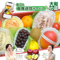 【順次発送可能★】画像送信サービスが大好評★ 厳選果物屋 フルーツギフト10000 送料無料 グルメ 果物 …