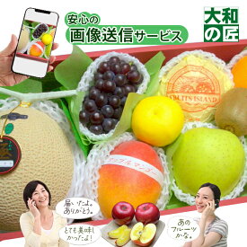 【順次発送可能★】画像送信サービスが大好評★ 厳選果物屋 フルーツギフト15000 グルメ 果物 フルーツ 詰め合わせ 盛り合わせ 内祝 誕生日 御見舞 お見舞い プレゼント ギフト 手土産 贈り物 贈答用 お返し お供え 御供 御霊前 御仏前 法要 法事