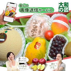 【順次発送可能★】画像送信サービスが大好評★ 厳選果物屋 フルーツギフト20000 送料無料 グルメ 果物 フルーツ 詰め合わせ 盛り合わせ 内祝 誕生日 御見舞 お見舞い プレゼント ギフト 手土産 贈り物 贈答用 お返し お供え 御供 御霊前 御仏前 法要 法事