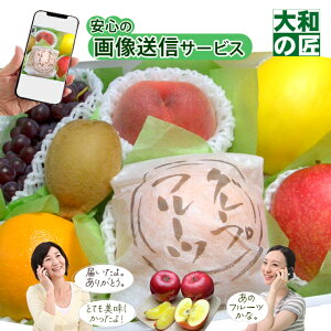 yO܎ܓʉi5,400~5,200~z 摜MT[rXD] Iʕ t[cMtg4500  O ʕ t[c lߍ킹 荇킹 j a 䌩 